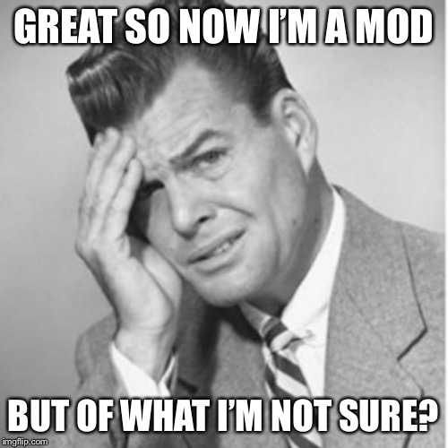 This is Just Like Real Life | GREAT SO NOW I’M A MOD; BUT OF WHAT I’M NOT SURE? | image tagged in memes,funny,true story,mods | made w/ Imgflip meme maker