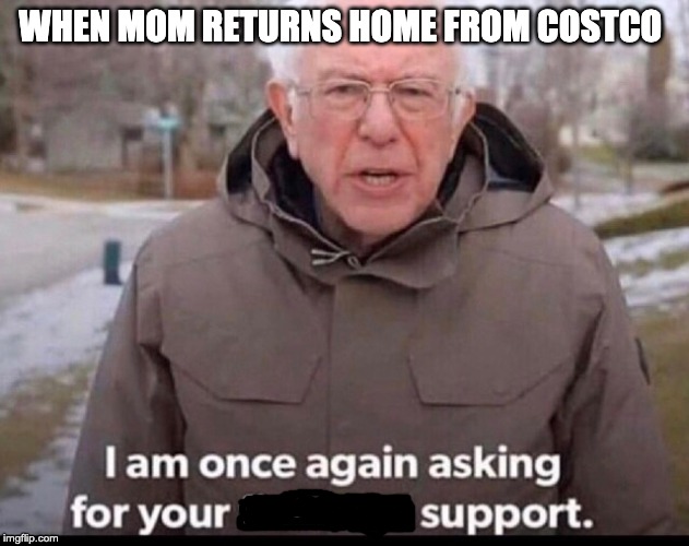 bernie sanders financial support | WHEN MOM RETURNS HOME FROM COSTCO | image tagged in bernie sanders financial support | made w/ Imgflip meme maker