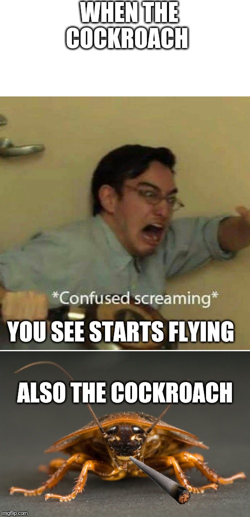 WHEN THE COCKROACH; YOU SEE STARTS FLYING; ALSO THE COCKROACH | image tagged in cockroach,confused screaming | made w/ Imgflip meme maker