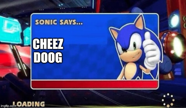 Sonic Says | CHEEZ
DOOG | image tagged in sonic says | made w/ Imgflip meme maker