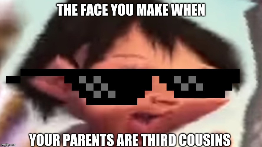 it's fine there third cousins | THE FACE YOU MAKE WHEN; YOUR PARENTS ARE THIRD COUSINS | image tagged in face | made w/ Imgflip meme maker