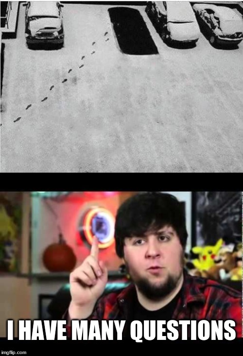 Me too, Jontron, me too! | I HAVE MANY QUESTIONS | image tagged in jontron i have several questions,funny,memes,footprints,snow | made w/ Imgflip meme maker