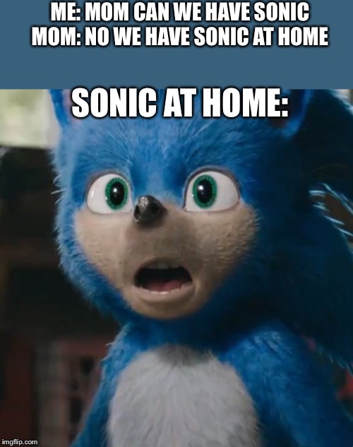 Sonic Movie | ME: MOM CAN WE HAVE SONIC
MOM: NO WE HAVE SONIC AT HOME; SONIC AT HOME: | image tagged in sonic movie | made w/ Imgflip meme maker