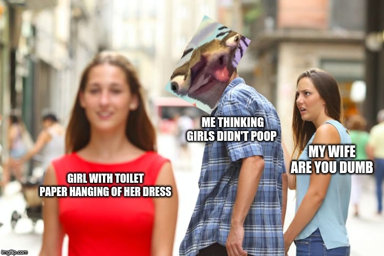 Distracted Boyfriend | ME THINKING GIRLS DIDN'T POOP; MY WIFE ARE YOU DUMB; GIRL WITH TOILET PAPER HANGING OF HER DRESS | image tagged in memes,distracted boyfriend | made w/ Imgflip meme maker