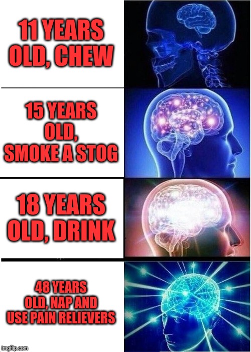 Expanding Brain Meme | 11 YEARS OLD, CHEW; 15 YEARS OLD, SMOKE A STOG; 18 YEARS OLD, DRINK; 48 YEARS OLD, NAP AND USE PAIN RELIEVERS | image tagged in memes,expanding brain | made w/ Imgflip meme maker