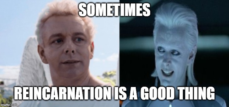 SOMETIMES; REINCARNATION IS A GOOD THING | image tagged in good omens,tron legacy | made w/ Imgflip meme maker