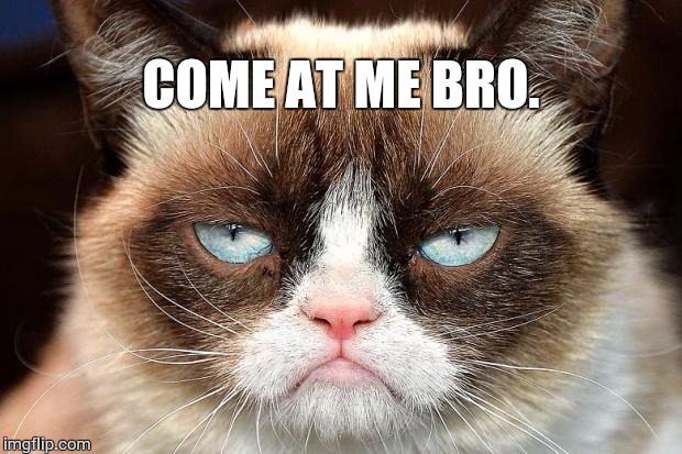 Grumpy Cat Not Amused Meme | COME AT ME BRO. | image tagged in memes,grumpy cat not amused,grumpy cat | made w/ Imgflip meme maker
