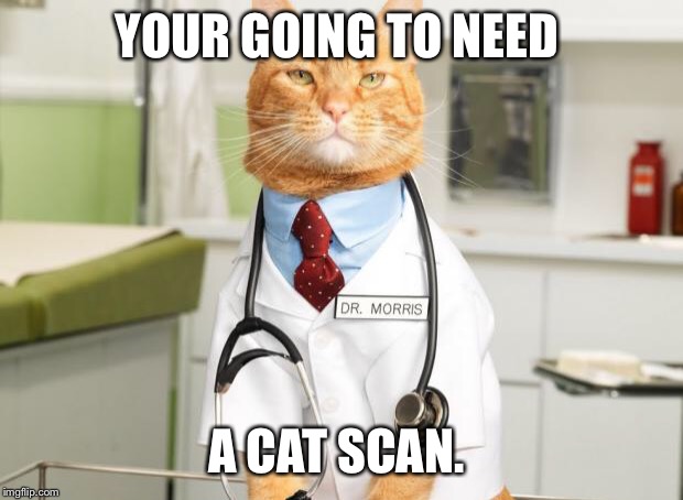 Cat Doctor | YOUR GOING TO NEED; A CAT SCAN. | image tagged in cat doctor | made w/ Imgflip meme maker