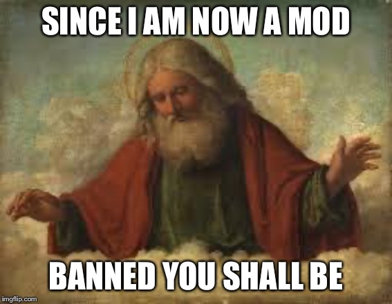 god | SINCE I AM NOW A MOD; BANNED YOU SHALL BE | image tagged in god | made w/ Imgflip meme maker