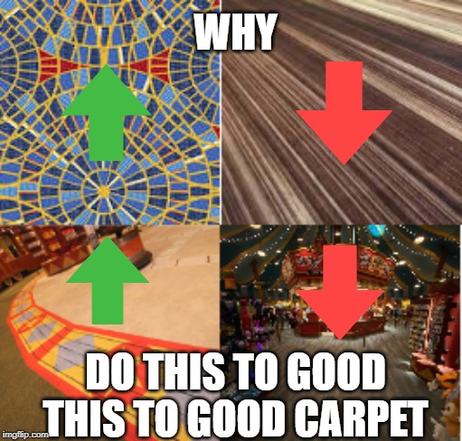 why carpet | WHY; DO THIS TO GOOD THIS TO GOOD CARPET | image tagged in why carpet,dragoncon,disney | made w/ Imgflip meme maker