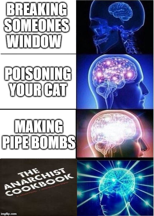 Expanding Brain Meme | BREAKING SOMEONES WINDOW; POISONING YOUR CAT; MAKING PIPE BOMBS | image tagged in memes,expanding brain | made w/ Imgflip meme maker