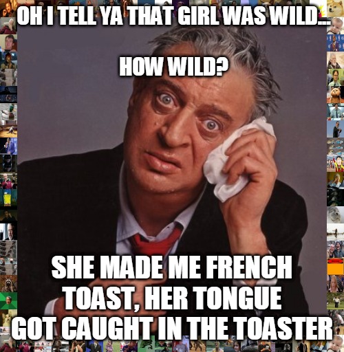 that girl was wild | OH I TELL YA THAT GIRL WAS WILD...
 
HOW WILD? SHE MADE ME FRENCH TOAST, HER TONGUE GOT CAUGHT IN THE TOASTER | image tagged in rodney dangerfield,wild,no respect | made w/ Imgflip meme maker