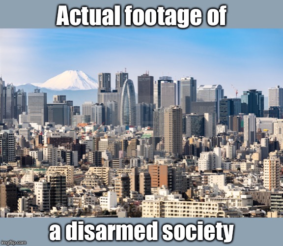 Disarmament leads to tyranny! Or anarchy! Or this (Tokyo skyline) | Actual footage of; a disarmed society | image tagged in tokyo skyline,gun control,gun laws,gun rights,japan,meanwhile in japan | made w/ Imgflip meme maker