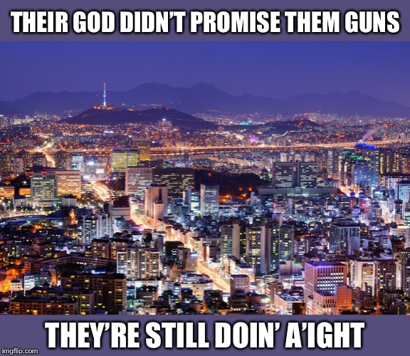 South Korea borders North Korea, an existential threat, yet they still control civilian guns. They also have a real “militia.” | THEIR GOD DIDN’T PROMISE THEM GUNS; THEY’RE STILL DOIN’ A’IGHT | image tagged in seoul skyline,gun control,gun rights,militia,gun laws,second amendment | made w/ Imgflip meme maker