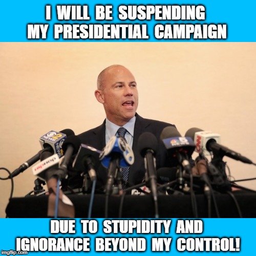 Avenatti | I  WILL  BE  SUSPENDING  MY  PRESIDENTIAL  CAMPAIGN; DUE  TO  STUPIDITY  AND  IGNORANCE  BEYOND  MY  CONTROL! | image tagged in dumb,crook | made w/ Imgflip meme maker