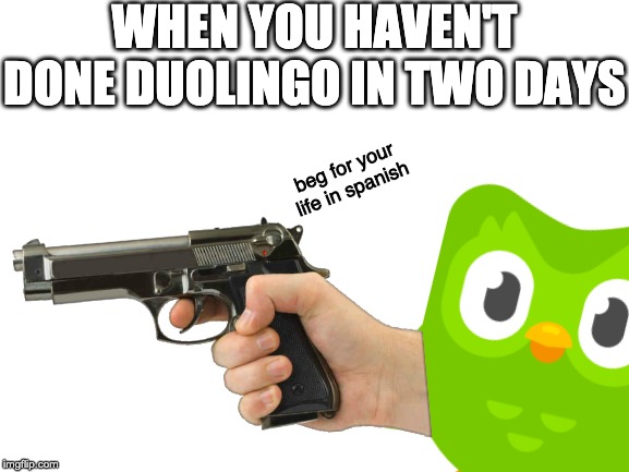 Duolingo in a nutshell |  WHEN YOU HAVEN'T DONE DUOLINGO IN TWO DAYS; beg for your life in spanish | image tagged in duolingo | made w/ Imgflip meme maker