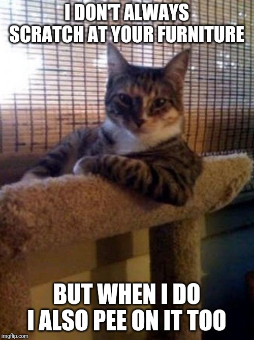 The Most Interesting Cat In The World | I DON'T ALWAYS SCRATCH AT YOUR FURNITURE; BUT WHEN I DO I ALSO PEE ON IT TOO | image tagged in memes,the most interesting cat in the world | made w/ Imgflip meme maker