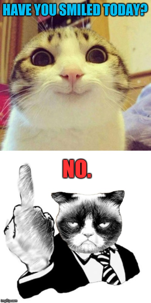 I hope you smiled ;) | HAVE YOU SMILED TODAY? NO. | image tagged in memes,smiling cat,1950's grumpy middle finger,grumpy cat,44colt,have you smiled today | made w/ Imgflip meme maker