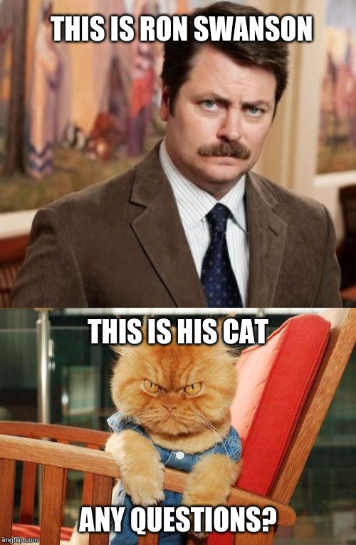 Ron Swanson: Some people and their pets really do look alike. |  THIS IS RON SWANSON; THIS IS HIS CAT; ANY QUESTIONS? | image tagged in memes,ron swanson,mad cat,twins,parks and recreation | made w/ Imgflip meme maker