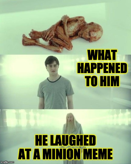 Dead Baby Voldemort / What Happened To Him | WHAT HAPPENED TO HIM; HE LAUGHED AT A MINION MEME | image tagged in dead baby voldemort / what happened to him | made w/ Imgflip meme maker