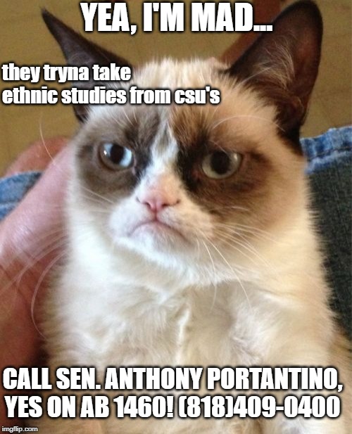 Grumpy Cat | YEA, I'M MAD... they tryna take ethnic studies from csu's; CALL SEN. ANTHONY PORTANTINO, YES ON AB 1460! (818)409-0400 | image tagged in memes,grumpy cat | made w/ Imgflip meme maker