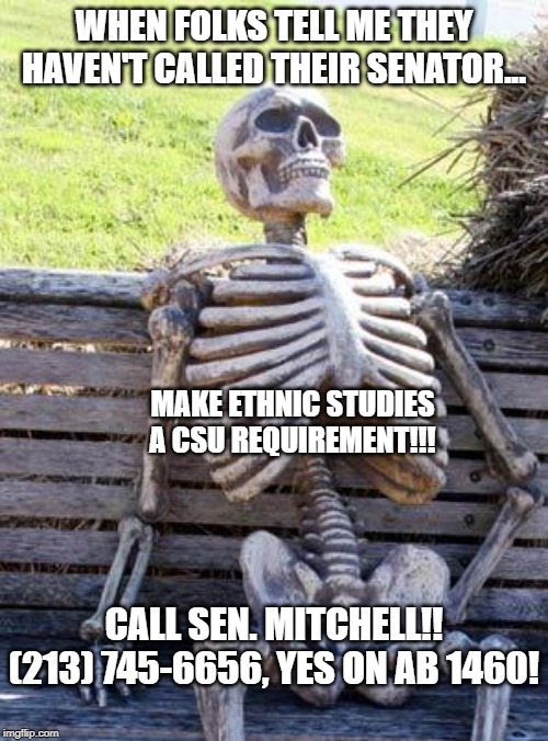 Waiting Skeleton Meme | WHEN FOLKS TELL ME THEY HAVEN'T CALLED THEIR SENATOR... MAKE ETHNIC STUDIES A CSU REQUIREMENT!!! CALL SEN. MITCHELL!! (213) 745-6656, YES ON AB 1460! | image tagged in memes,waiting skeleton | made w/ Imgflip meme maker