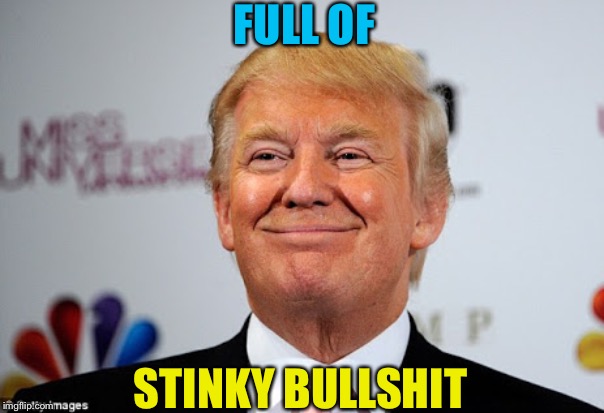 Donald trump approves | FULL OF STINKY BULLSHIT | image tagged in donald trump approves | made w/ Imgflip meme maker
