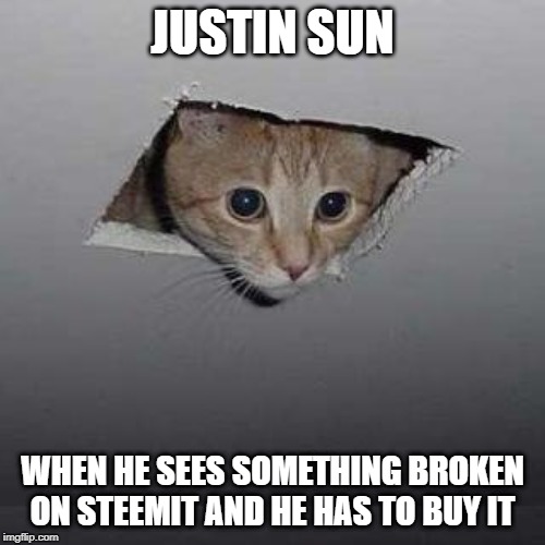 Ceiling Cat Meme | JUSTIN SUN; WHEN HE SEES SOMETHING BROKEN ON STEEMIT AND HE HAS TO BUY IT | image tagged in memes,ceiling cat | made w/ Imgflip meme maker