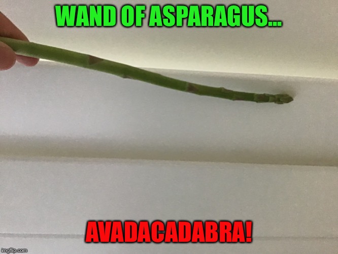 Asparagus core, asparagus wood, 10 inches | WAND OF ASPARAGUS... AVADACADABRA! | image tagged in memes | made w/ Imgflip meme maker