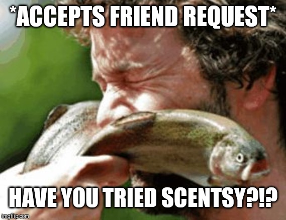 Slapped in the face by a large trout | *ACCEPTS FRIEND REQUEST*; HAVE YOU TRIED SCENTSY?!? | image tagged in slapped in the face by a large trout | made w/ Imgflip meme maker