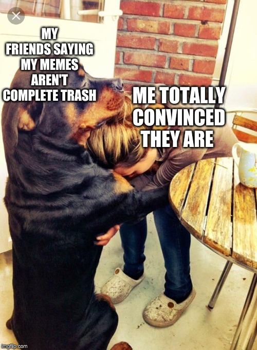 Dog comforting human | MY FRIENDS SAYING MY MEMES AREN'T COMPLETE TRASH; ME TOTALLY CONVINCED THEY ARE | image tagged in dog comforting human | made w/ Imgflip meme maker
