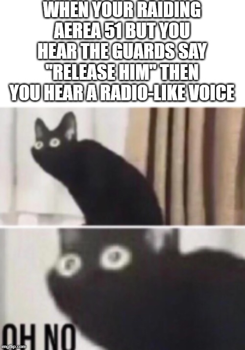 Oh no cat | WHEN YOUR RAIDING AEREA 51 BUT YOU HEAR THE GUARDS SAY "RELEASE HIM" THEN YOU HEAR A RADIO-LIKE VOICE | image tagged in oh no cat | made w/ Imgflip meme maker