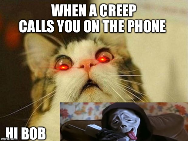 Scared Cat Meme | WHEN A CREEP CALLS YOU ON THE PHONE; HI BOB | image tagged in memes,scared cat | made w/ Imgflip meme maker