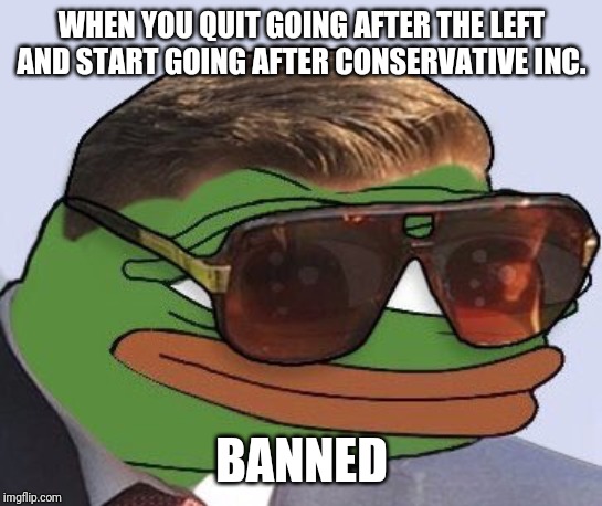 Nick Fuentes Pepe Style | WHEN YOU QUIT GOING AFTER THE LEFT AND START GOING AFTER CONSERVATIVE INC. BANNED | image tagged in nick fuentes pepe style | made w/ Imgflip meme maker