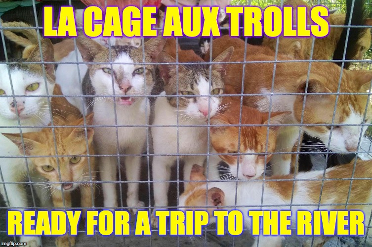 Any last words?  ( : |  LA CAGE AUX TROLLS; READY FOR A TRIP TO THE RIVER | image tagged in trolls,memes,take me to the river | made w/ Imgflip meme maker