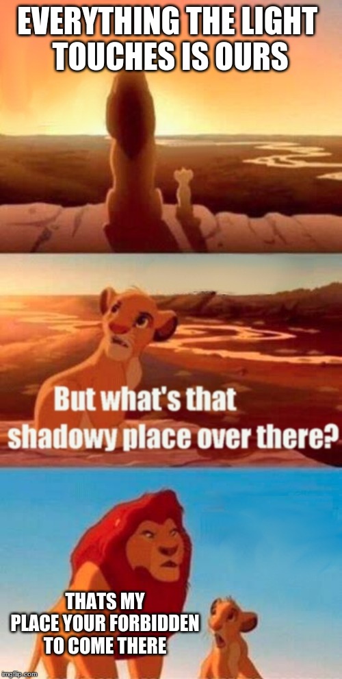 Simba Shadowy Place Meme | EVERYTHING THE LIGHT 
TOUCHES IS OURS; THATS MY PLACE YOUR FORBIDDEN TO COME THERE | image tagged in memes,simba shadowy place | made w/ Imgflip meme maker