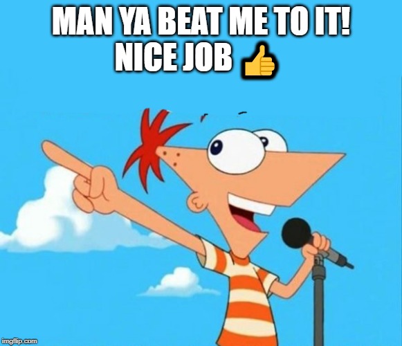 Phineas and ferb | MAN YA BEAT ME TO IT!
NICE JOB ? | image tagged in phineas and ferb | made w/ Imgflip meme maker