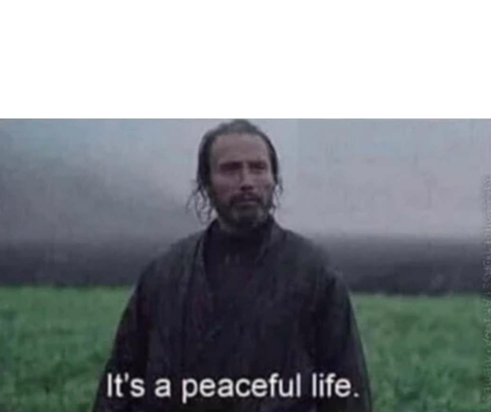High Quality It's a peaceful life Blank Meme Template