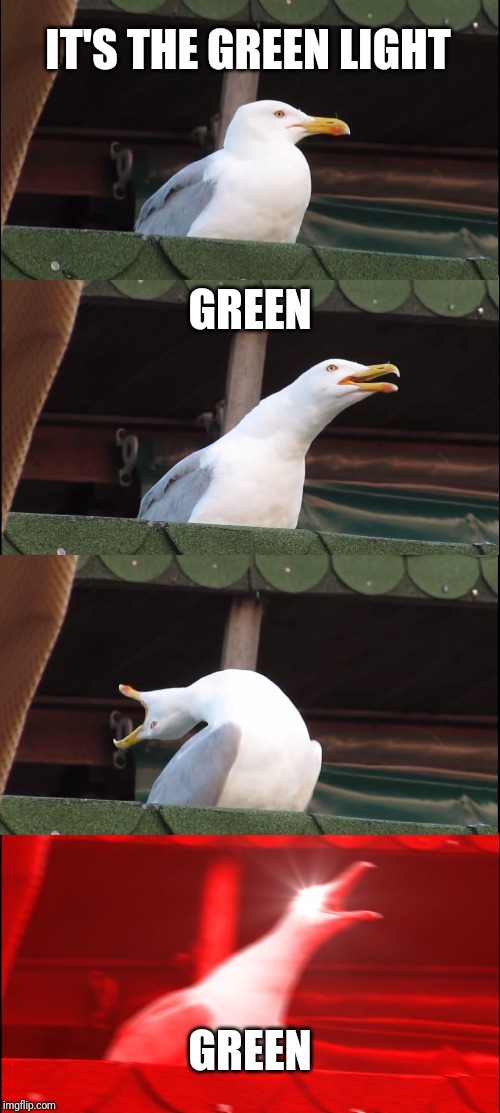 Inhaling Seagull | IT'S THE GREEN LIGHT; GREEN; GREEN | image tagged in memes,inhaling seagull | made w/ Imgflip meme maker