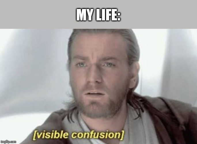 Visible Confusion | MY LIFE: | image tagged in visible confusion | made w/ Imgflip meme maker