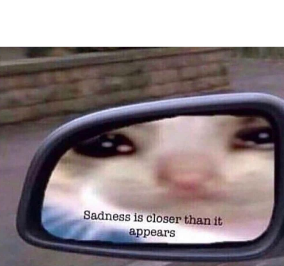 Sadness is closer than it appears Blank Meme Template