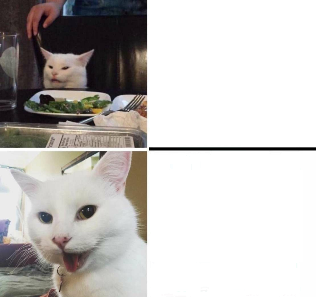 High Quality Smudge the cat Blank Meme Template