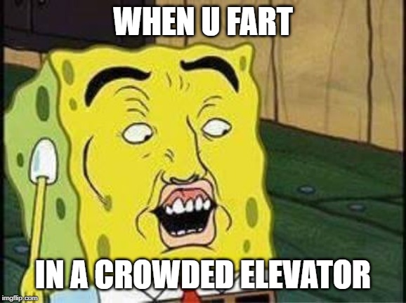 WHEN U FART IN A CROWDED ELEVATOR | image tagged in sponge bob bruh | made w/ Imgflip meme maker