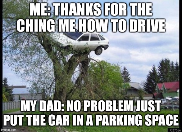 Secure Parking | ME: THANKS FOR THE CHING ME HOW TO DRIVE; MY DAD: NO PROBLEM JUST PUT THE CAR IN A PARKING SPACE | image tagged in memes,secure parking | made w/ Imgflip meme maker