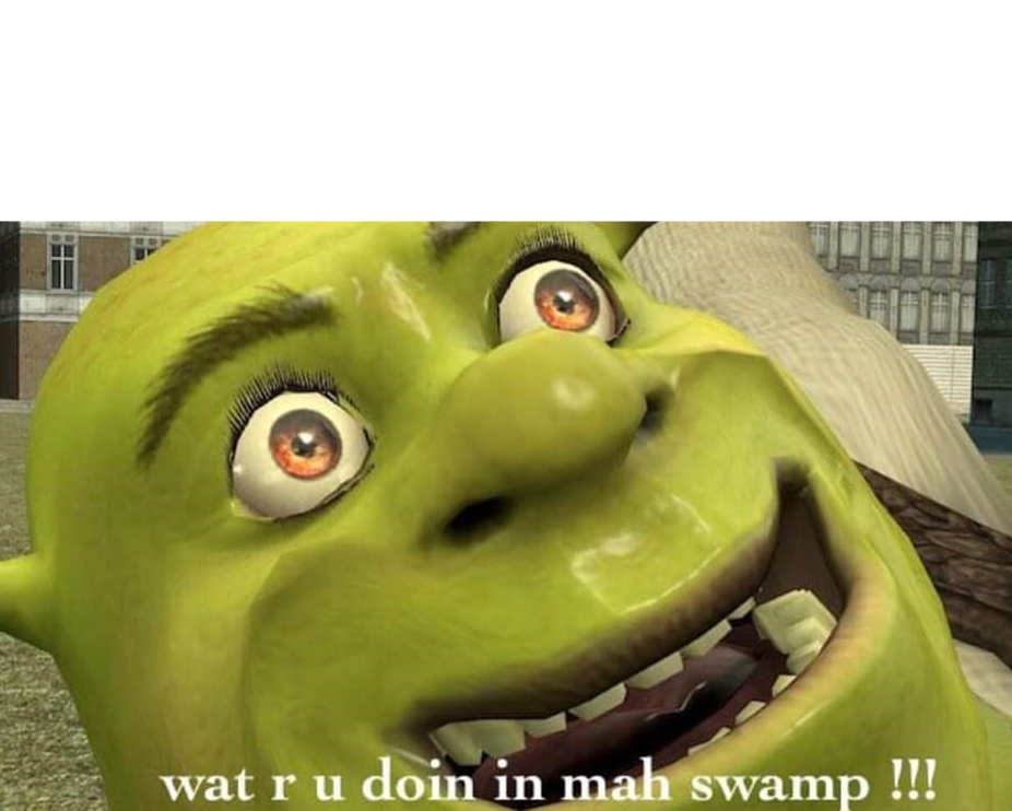 wat r u doing in mah swamp Blank Meme Template
