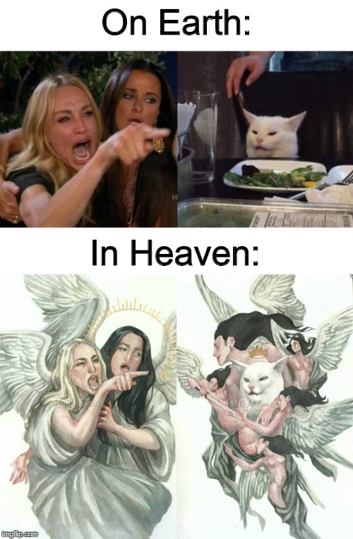 I know this meme is dead, but what the heck | On Earth:; In Heaven: | image tagged in blank white template,memes,woman yelling at cat,funny,earth,heaven | made w/ Imgflip meme maker