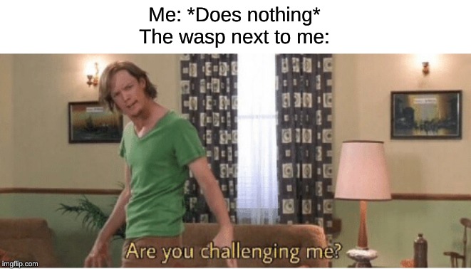 are you challenging me | Me: *Does nothing*
The wasp next to me: | image tagged in are you challenging me | made w/ Imgflip meme maker