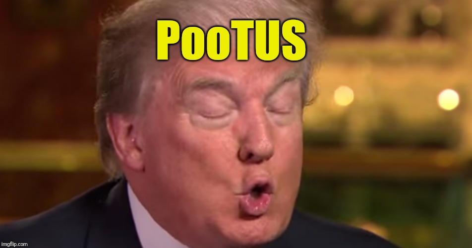 Trump "wrong" meme | PooTUS | image tagged in trump wrong meme | made w/ Imgflip meme maker