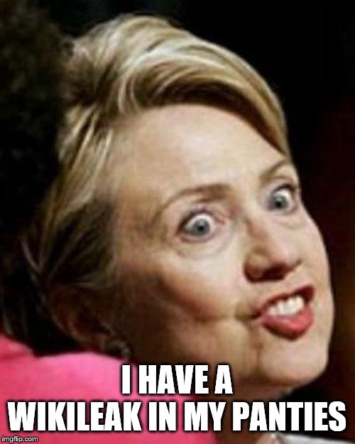 Hillary Clinton Fish | I HAVE A WIKILEAK IN MY PANTIES | image tagged in hillary clinton fish | made w/ Imgflip meme maker