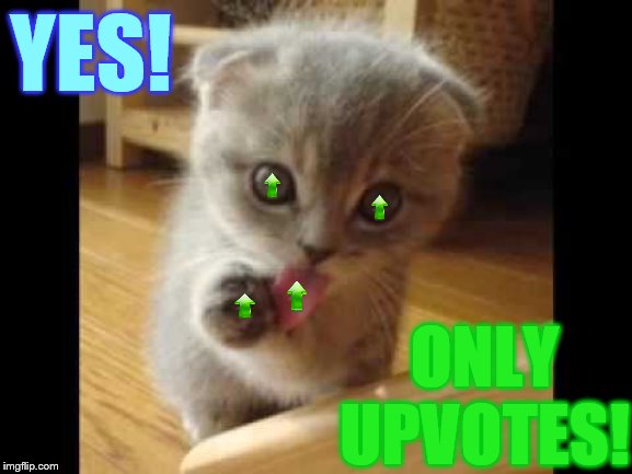 YES! ONLY UPVOTES! | made w/ Imgflip meme maker